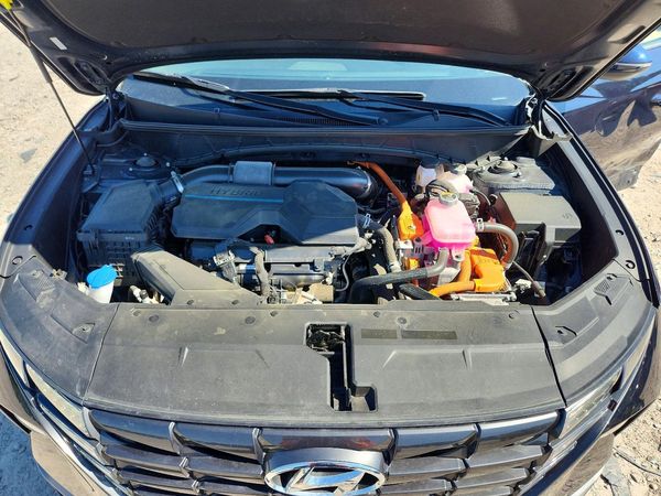2023 HYUNDAI TUCSON Blue