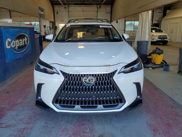 2024 LEXUS NX 350 Premium — DIRF