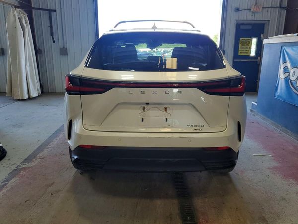 2024 LEXUS NX 350 Premium — DIRR