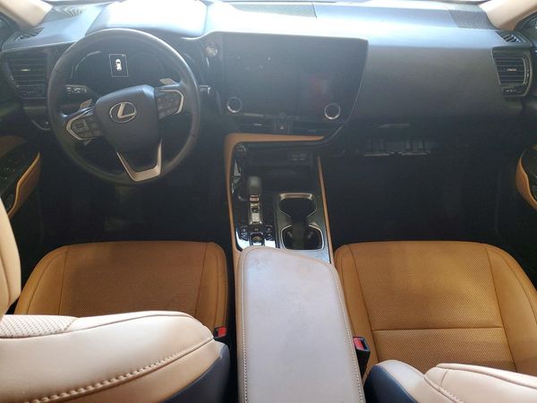 2024 LEXUS NX 350 Premium — CKPT