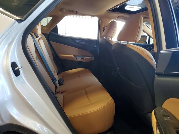 2024 LEXUS NX 350 Premium — PSRS