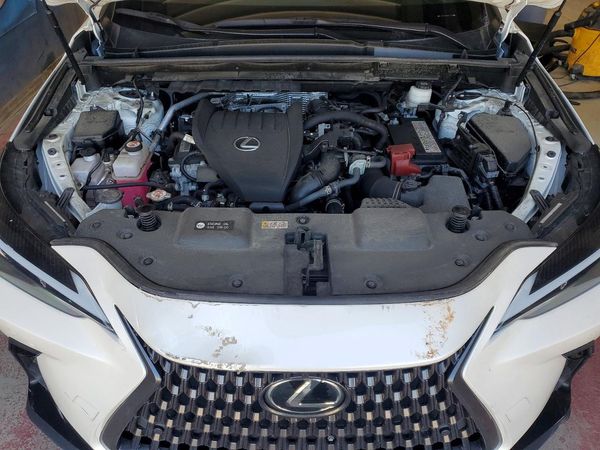 2024 LEXUS NX 350 Premium — Engine bay