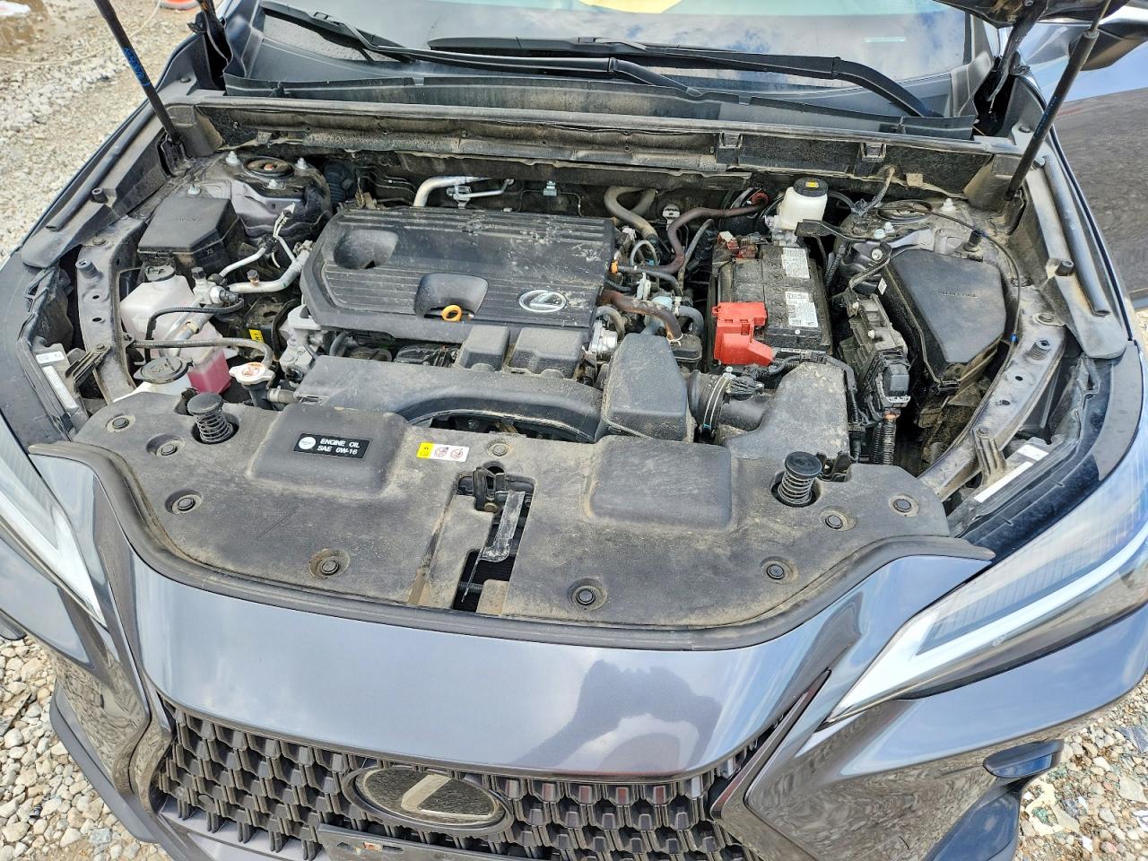 2025 LEXUS NX 350 Premium