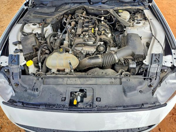 2021 FORD MUSTANG I4 Convertible