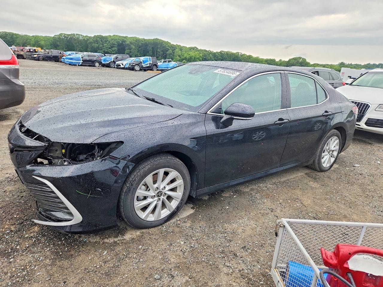 2024 TOYOTA CAMRY LE
