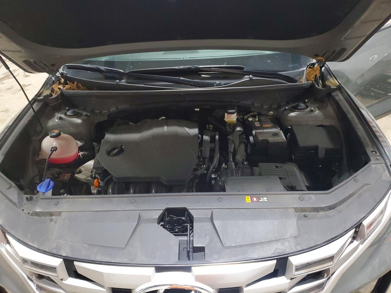2024 HYUNDAI SANTA CRUZ