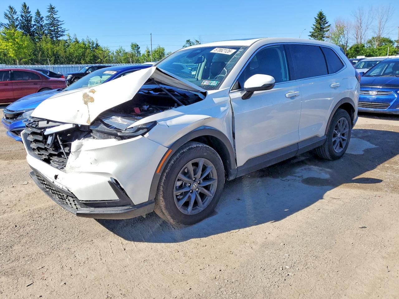 2026 HONDA CR-V