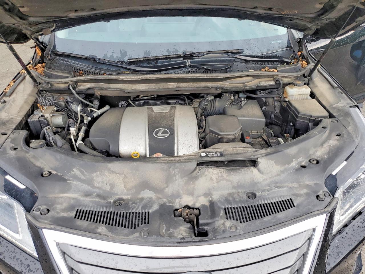 2019 LEXUS RX 350 Standard