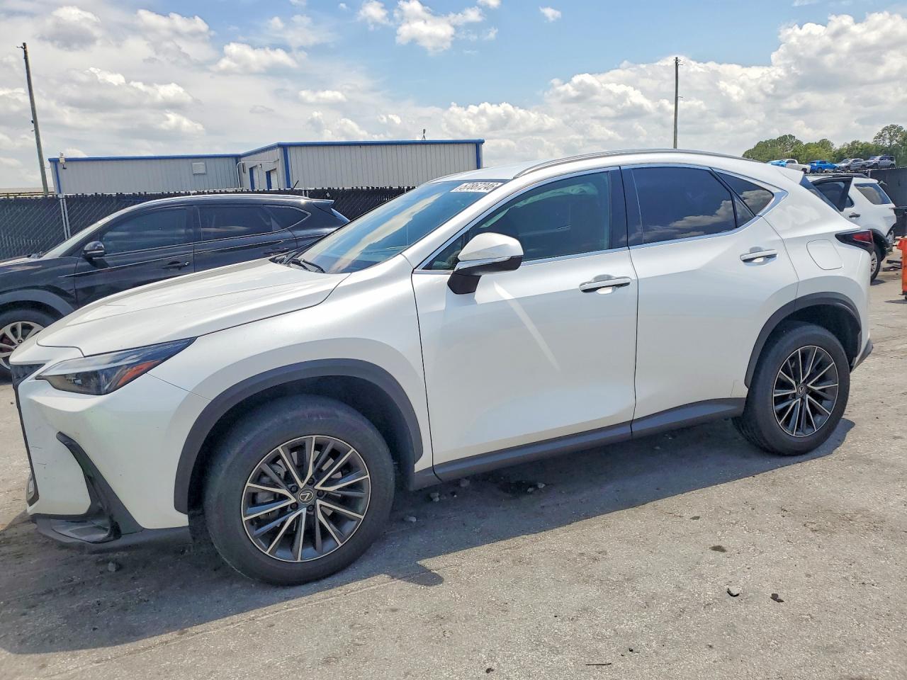 2024 LEXUS NX 250 250 Base