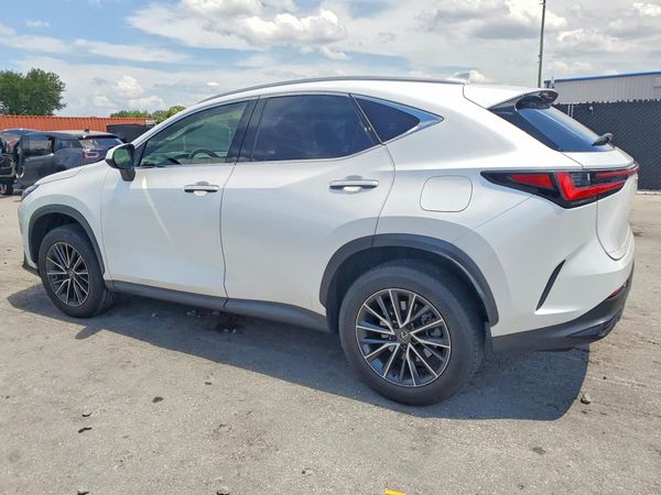 2024 LEXUS NX 250 250 Base