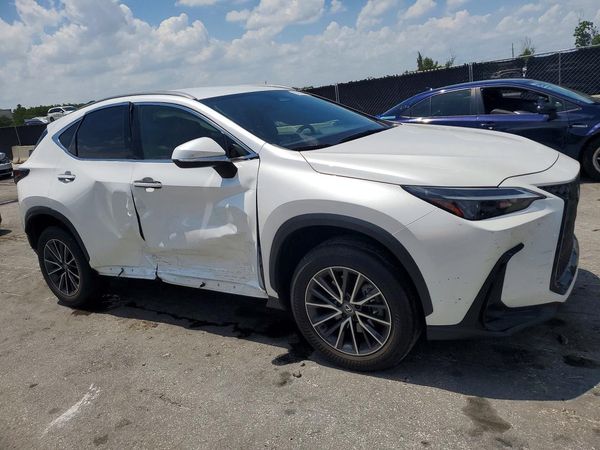 2024 LEXUS NX 250 250 Base