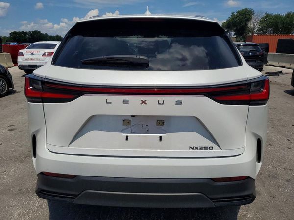 2024 LEXUS NX 250 250 Base