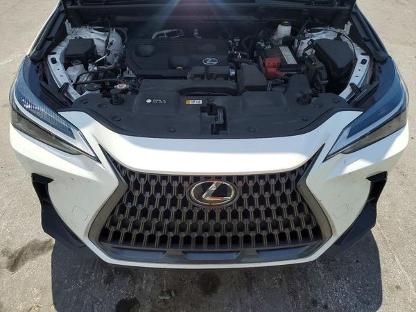 2024 LEXUS NX 250 250 Base