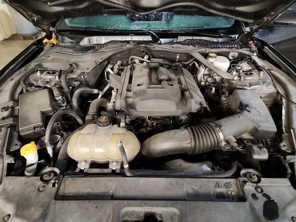 2018 FORD MUSTANG I4 Convertible