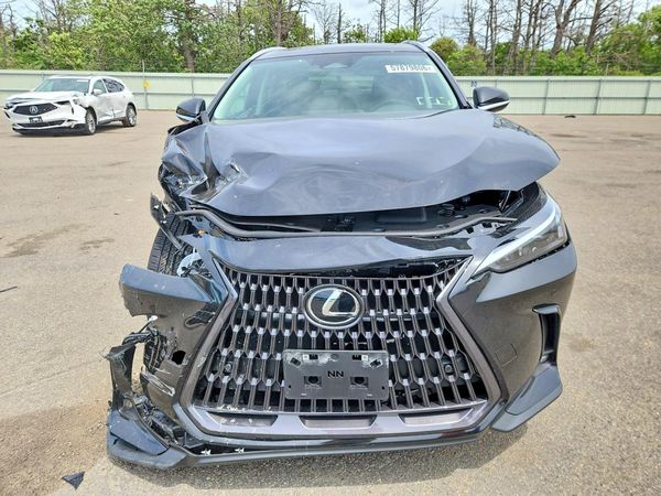 2026 LEXUS NX 350 Premium