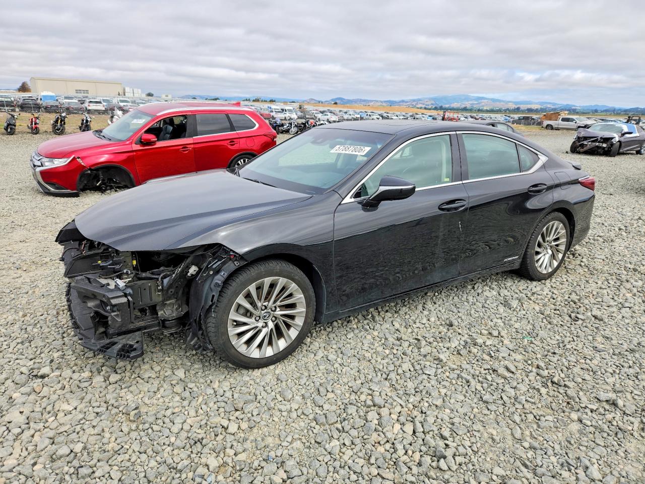 2019 LEXUS ES 300h