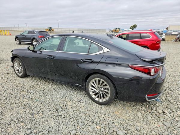 2019 LEXUS ES 300h
