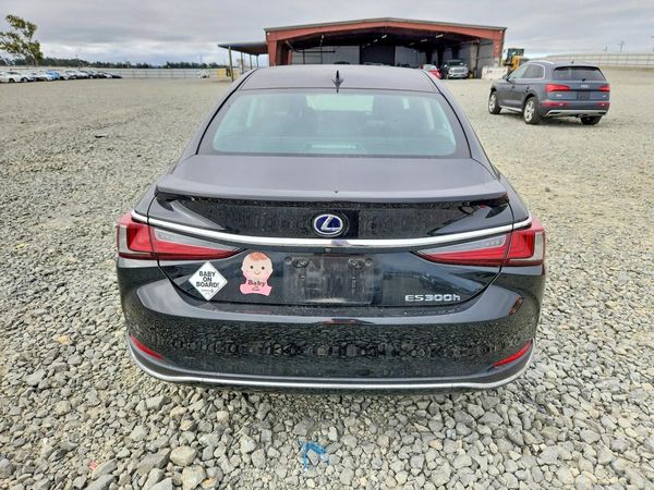 2019 LEXUS ES 300h
