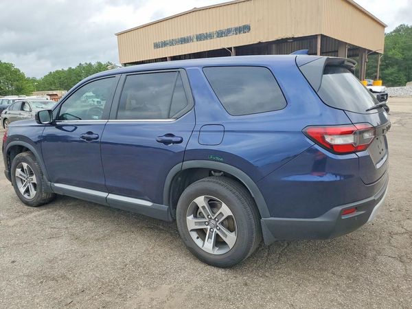 2025 HONDA PILOT EX-L, EX-L HPD