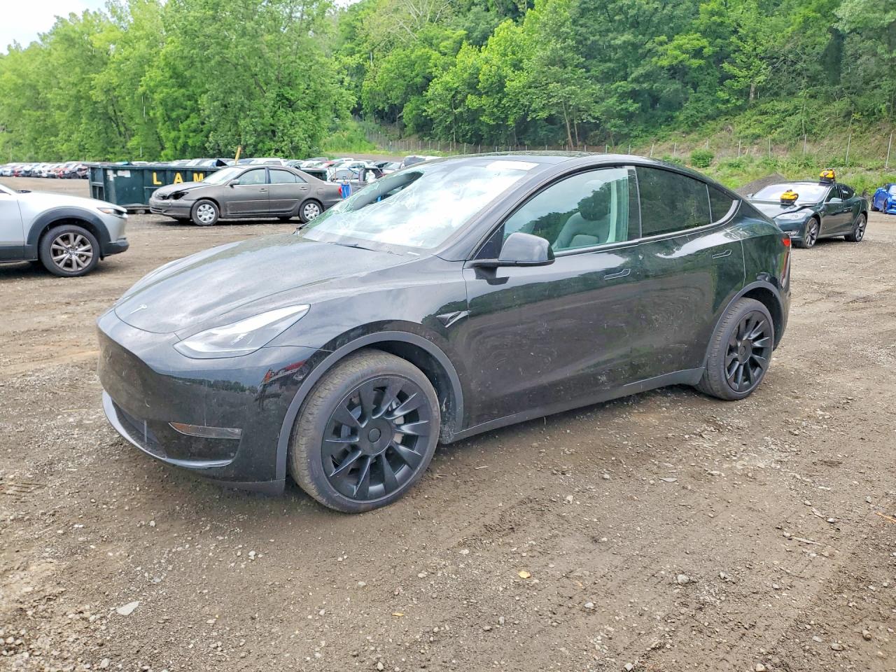 2024 TESLA MODEL Y
