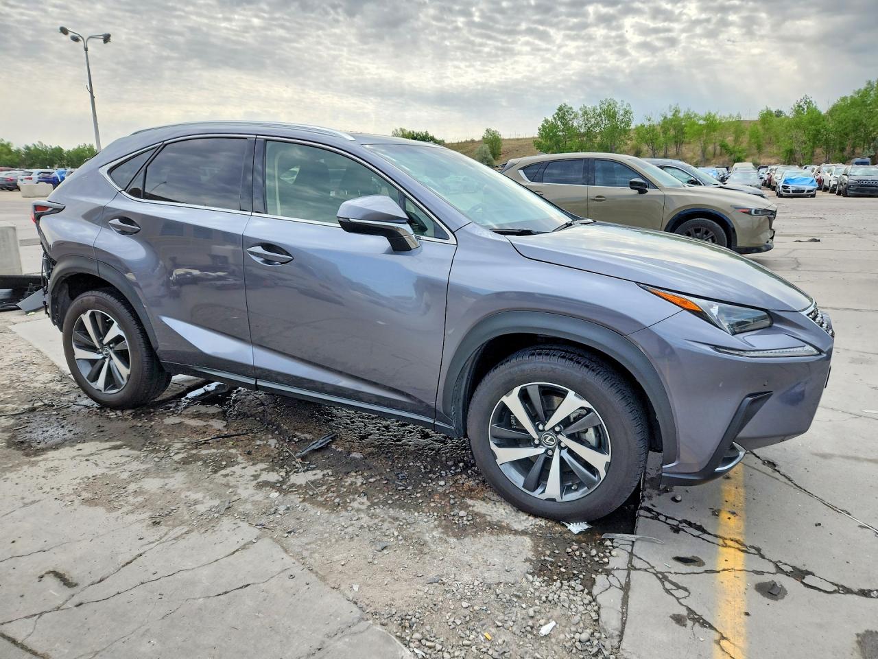 2018 LEXUS NX 300 300 Luxury