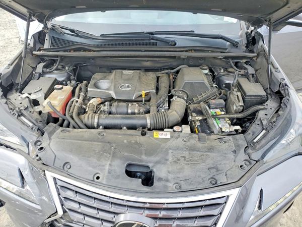 2018 LEXUS NX 300 300 Luxury