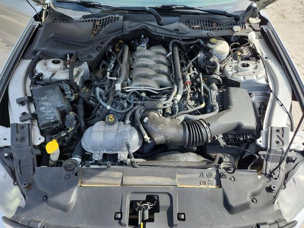 2019 FORD MUSTANG GT Coupe