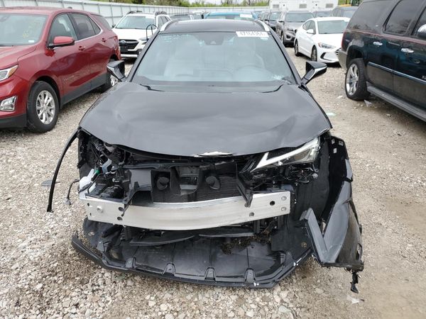 2024 LEXUS UX 250h Premium