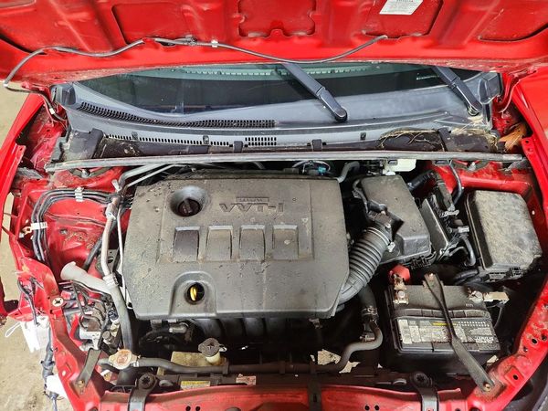 2019 TOYOTA COROLLA L/LE/SE/XLE/XSE