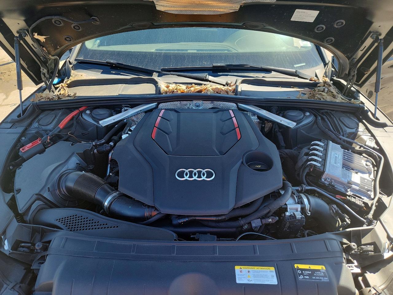 2023 AUDI S5 quattro Premium Plus