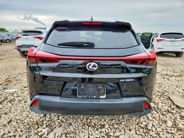 2020 LEXUS UX