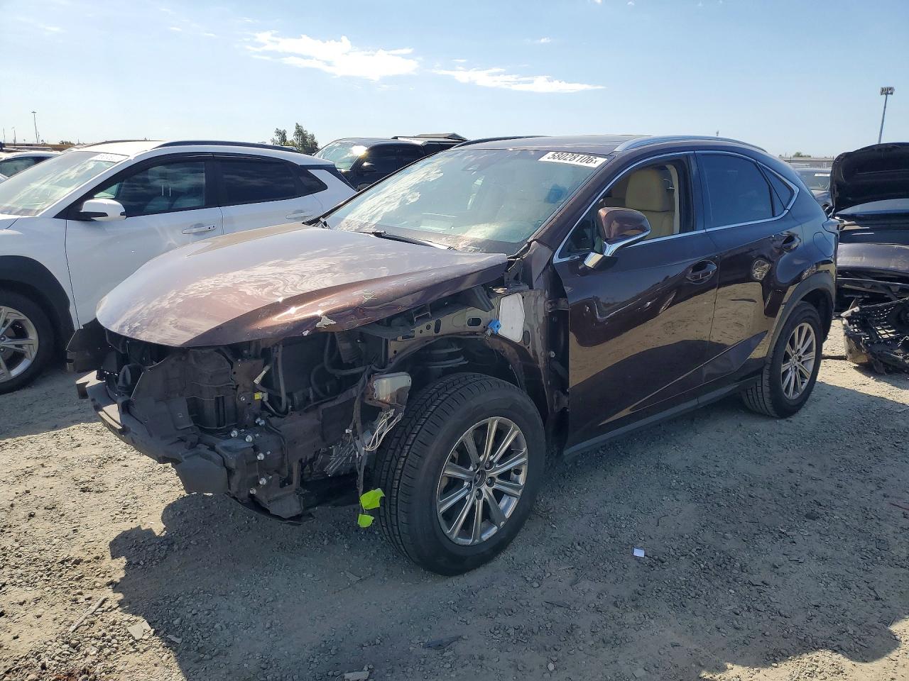 2019 LEXUS NX 300 300 Luxury