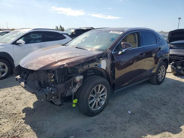 2019 LEXUS NX 300 300 Luxury