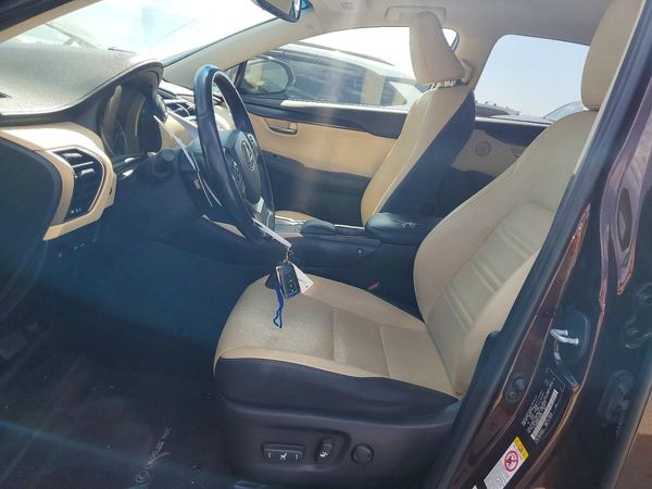 2019 LEXUS NX 300 300 Luxury