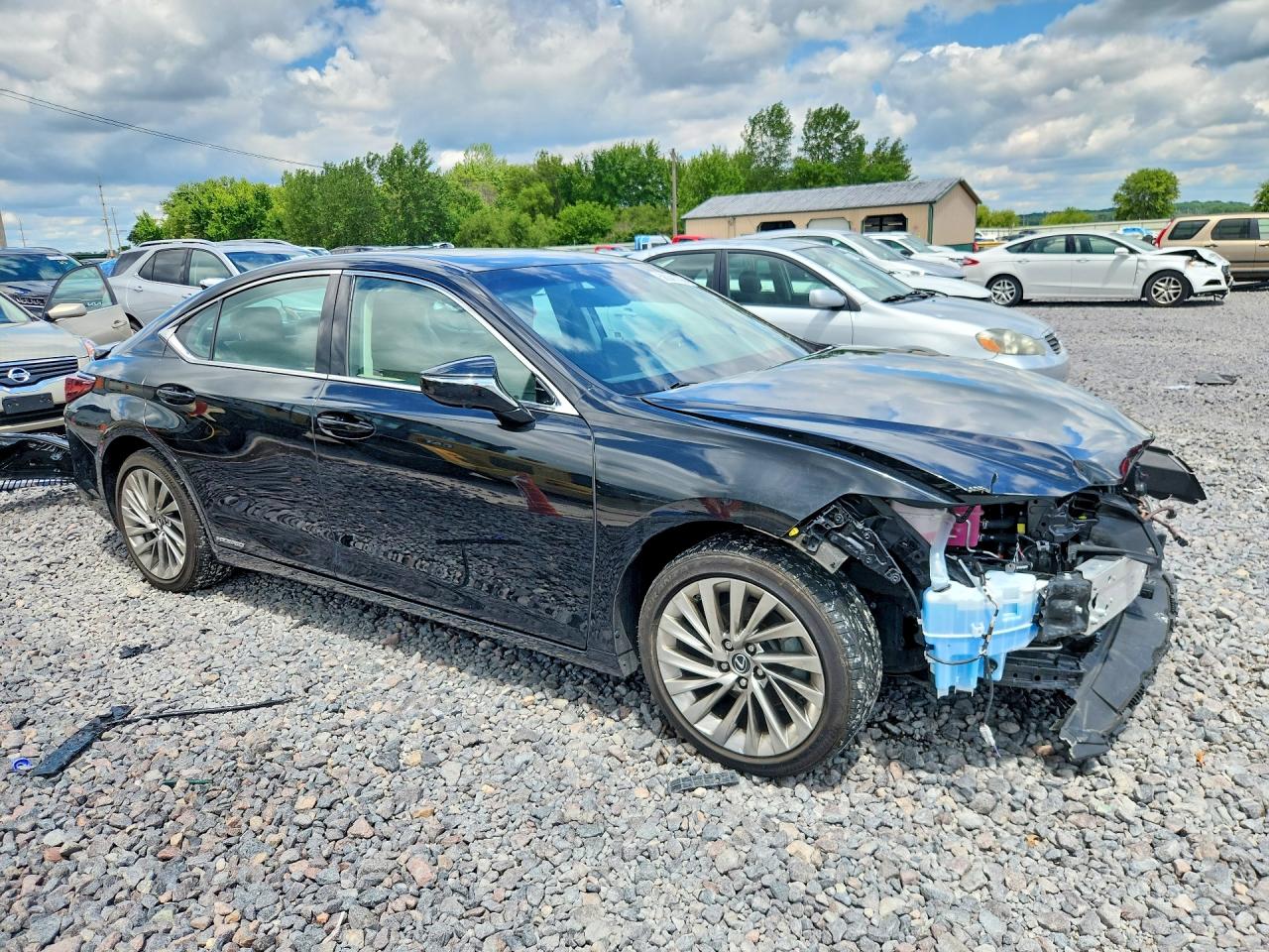 2021 LEXUS ES 300h Luxury