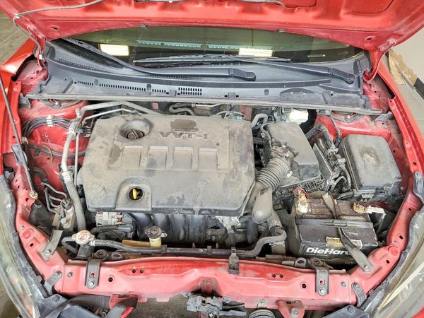 2019 TOYOTA COROLLA L/LE/SE/XLE/XSE