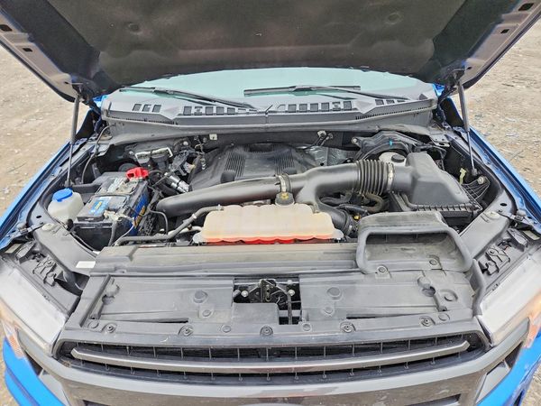 2019 FORD F150