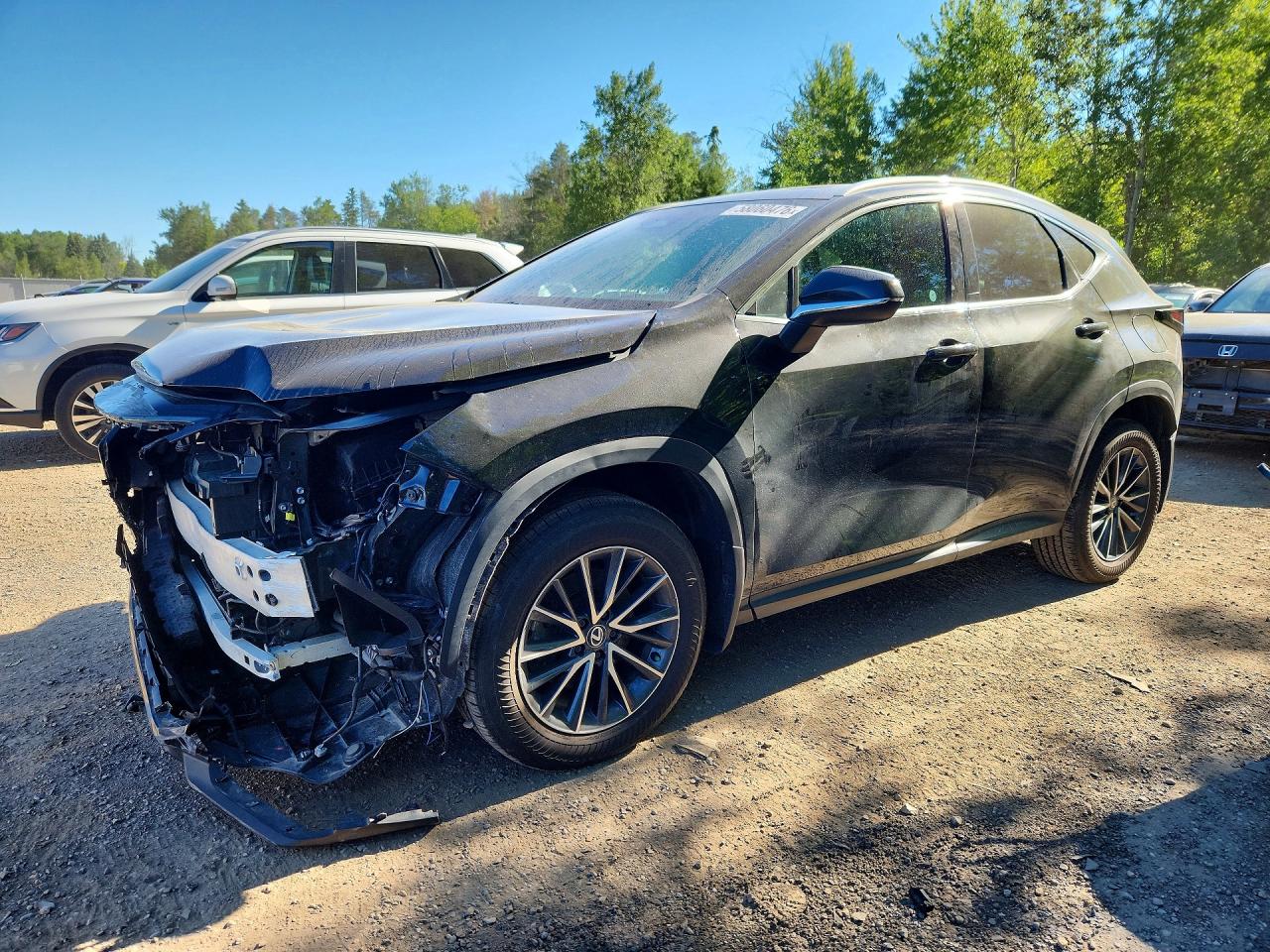 2024 LEXUS NX 350H 350 Premium