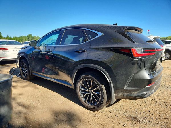 2024 LEXUS NX 350H 350 Premium
