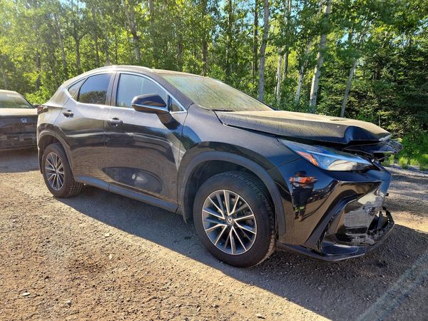 2024 LEXUS NX 350H 350 Premium