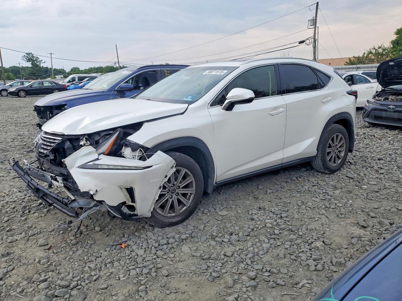 2020 LEXUS NX 300 Comfort