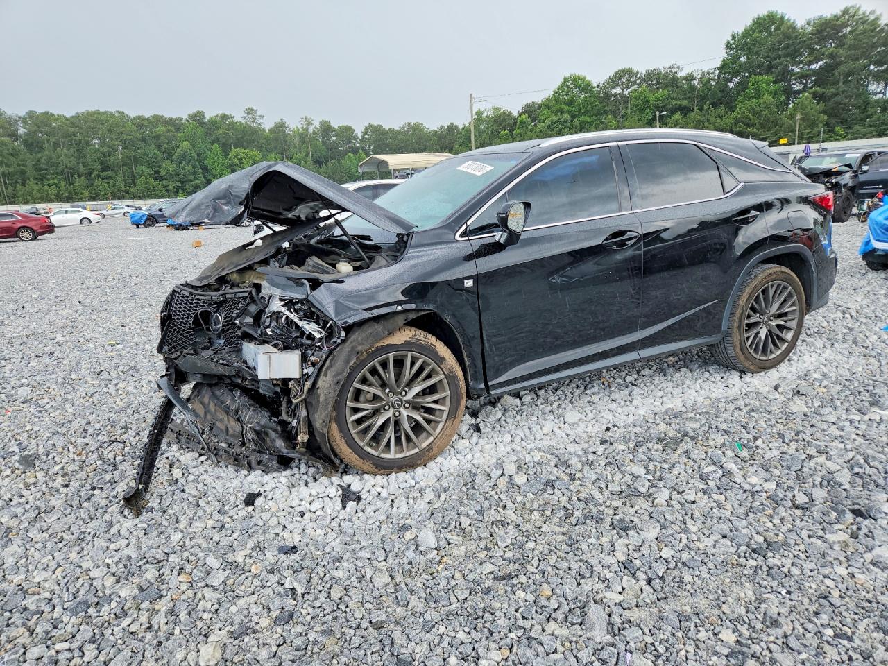 2019 LEXUS RX 350