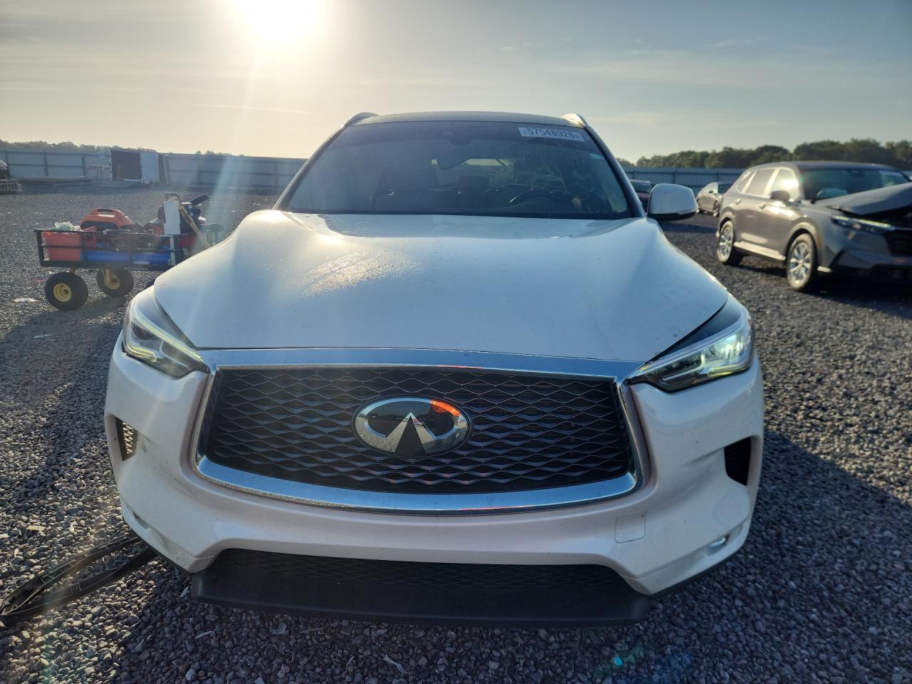 2021 INFINITI QX50 Luxe