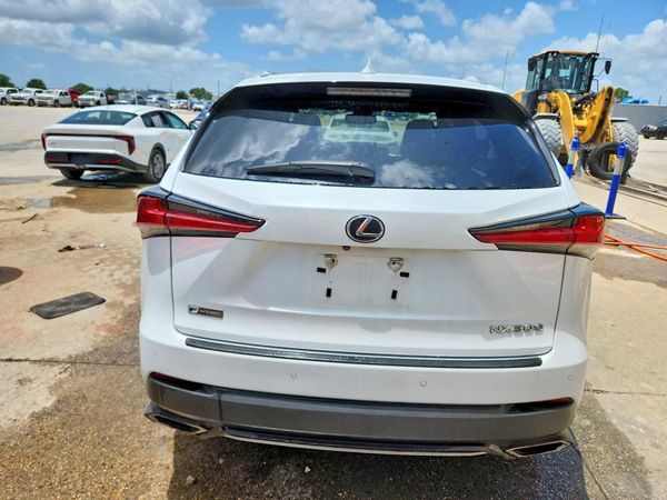 2019 LEXUS NX 300