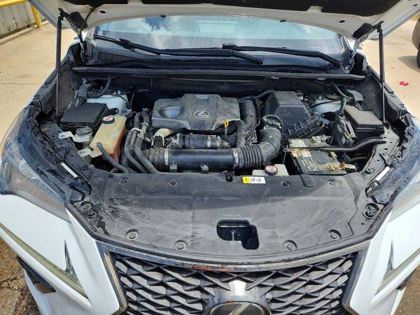 2019 LEXUS NX 300