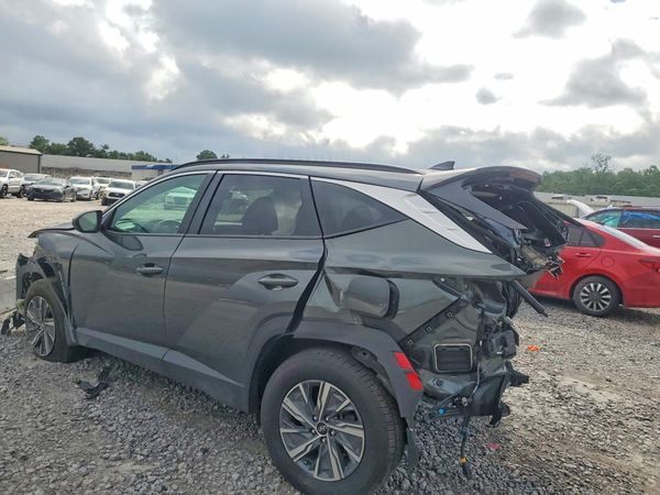 2024 HYUNDAI TUCSON Blue