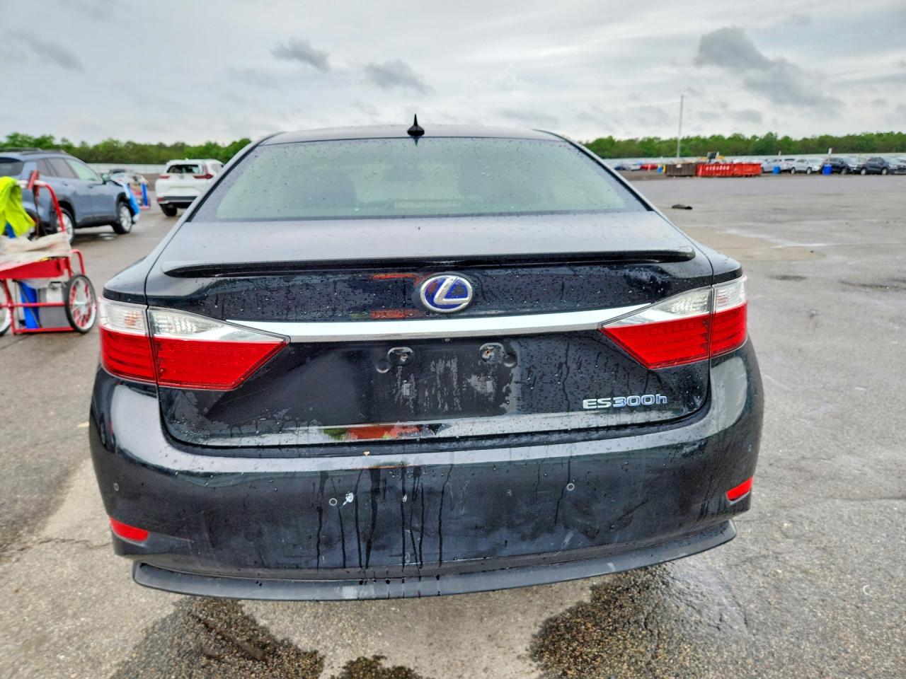 2013 LEXUS ES 300h