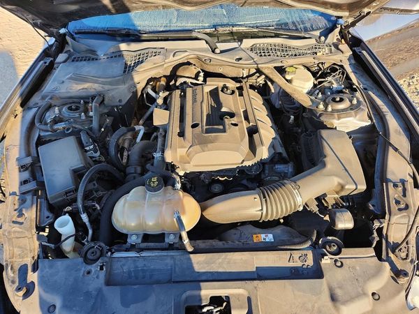 2018 FORD MUSTANG I4 Convertible