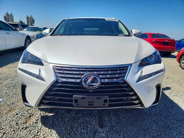2018 LEXUS NX 300H Luxury