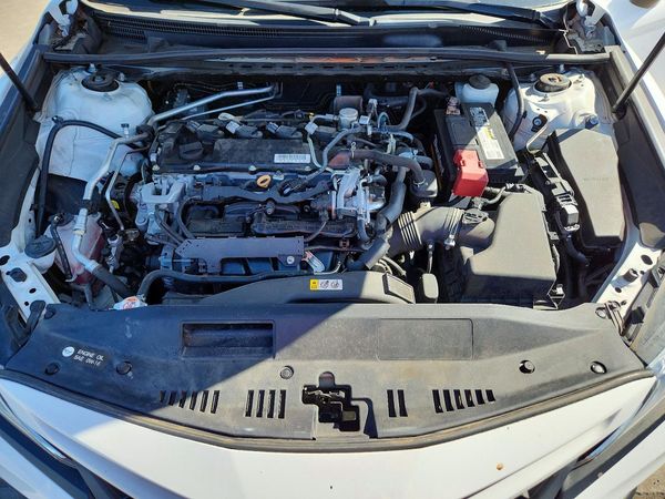 2019 TOYOTA CAMRY L/LE/SE/XLE